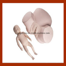 Advanced Childbirth Simulator, Midwifery Training Model